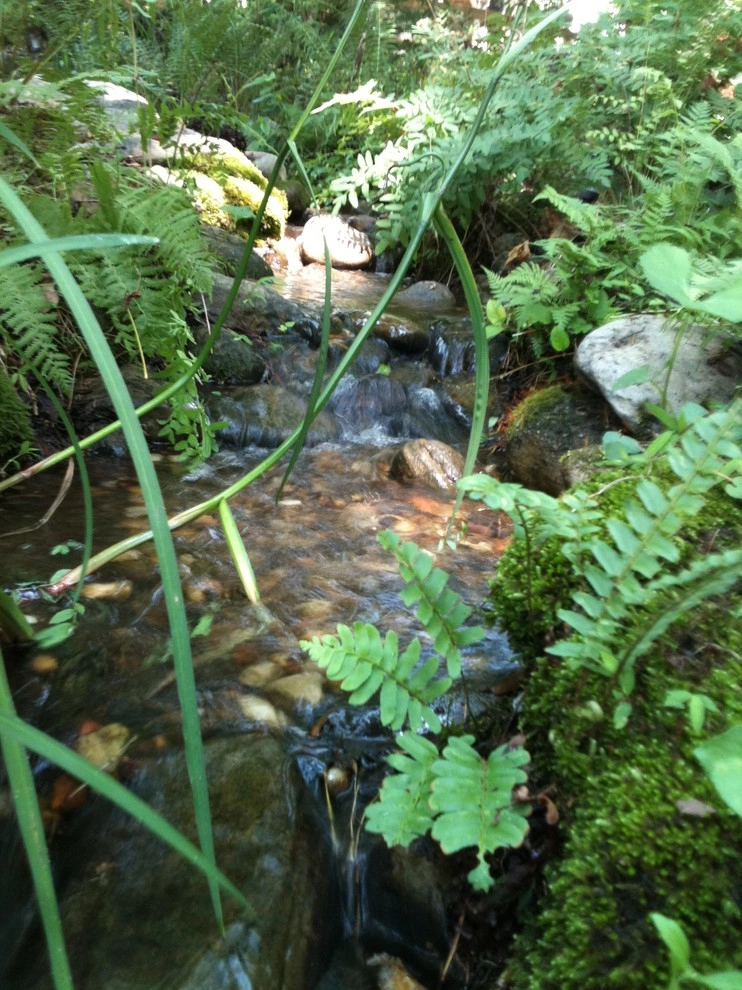 Natural Stream Projects in Atlanta by Universal Aquatics - Photo 2