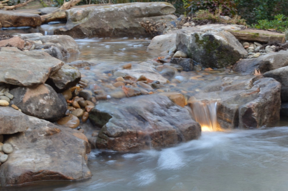Universal Aquatics - Photo 7