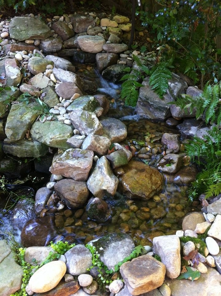 Universal Aquatics - Photo 4