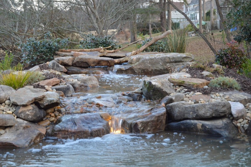 Universal Aquatics - Photo 11