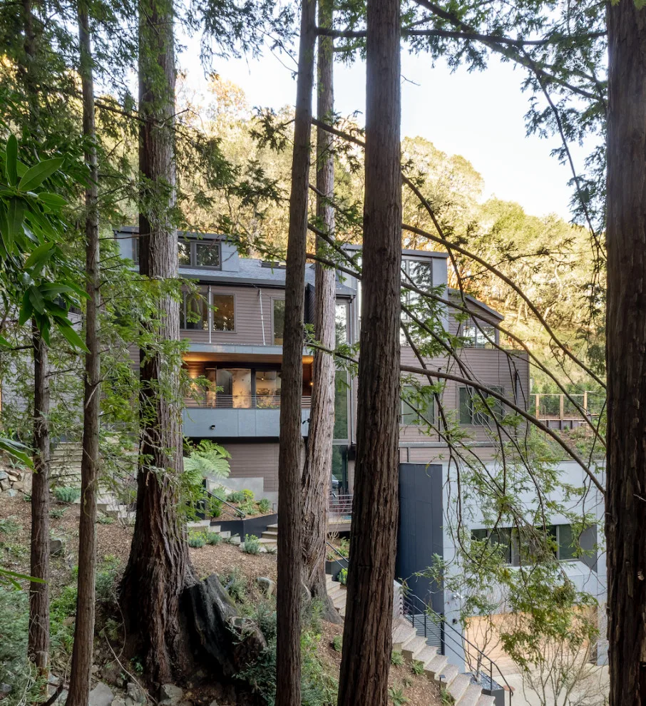 Mill Valley Home by Holder Parlette Architecture + Landscapes - Photo 13