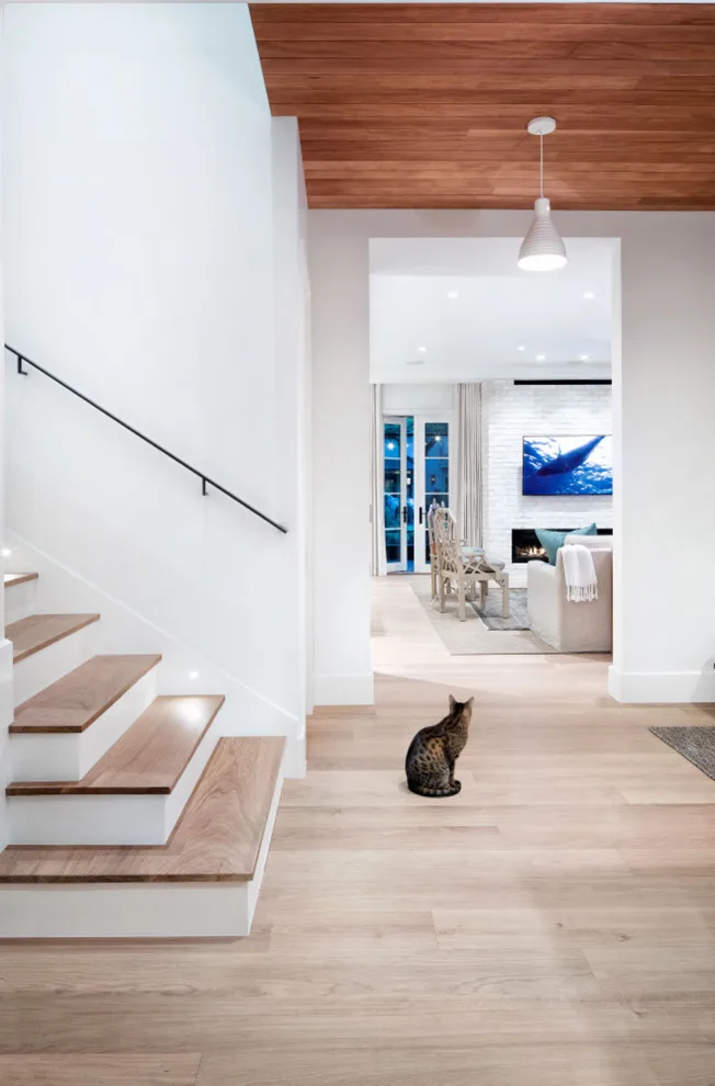 Robinhood Home by Clark Richardson Architects - Photo 5