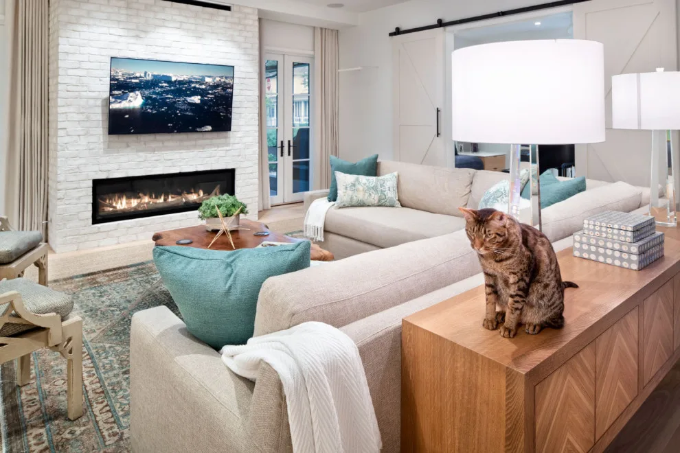 Robinhood Home by Clark Richardson Architects - Photo 4