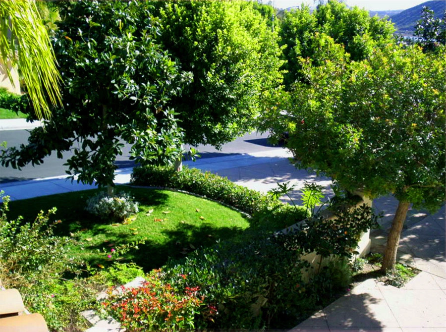 Landscaping by Ocean Blue Pools And Landscaping - Photo 2