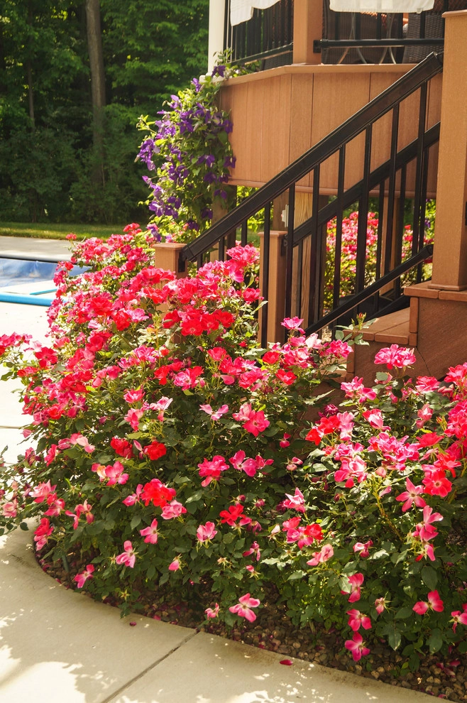 Decks, Pergolas, & Awnings by Vande Hey Company, Inc - Photo 18