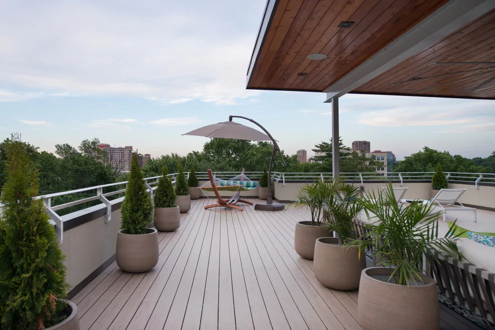 Contemporary Artistry by NSPJ Architects - Photo 2