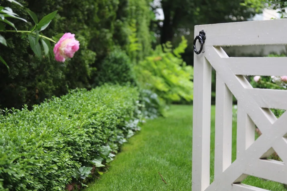 Rosebrook Gardens 2017 Horticultural Event by MAR JENNINGS/S&J Multimedia LLC - Photo 52