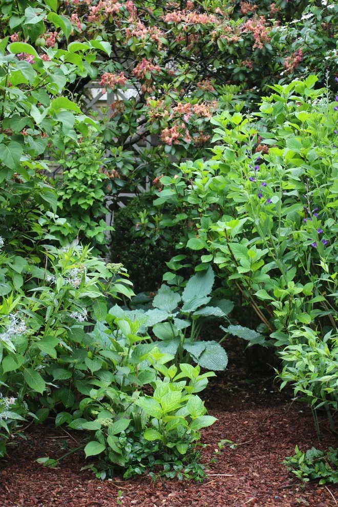 Rosebrook Gardens 2017 Horticultural Event by MAR JENNINGS/S&J Multimedia LLC - Photo 66