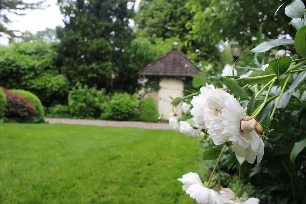 Rosebrook Gardens 2017 Horticultural Event by MAR JENNINGS/S&J Multimedia LLC - Photo 76