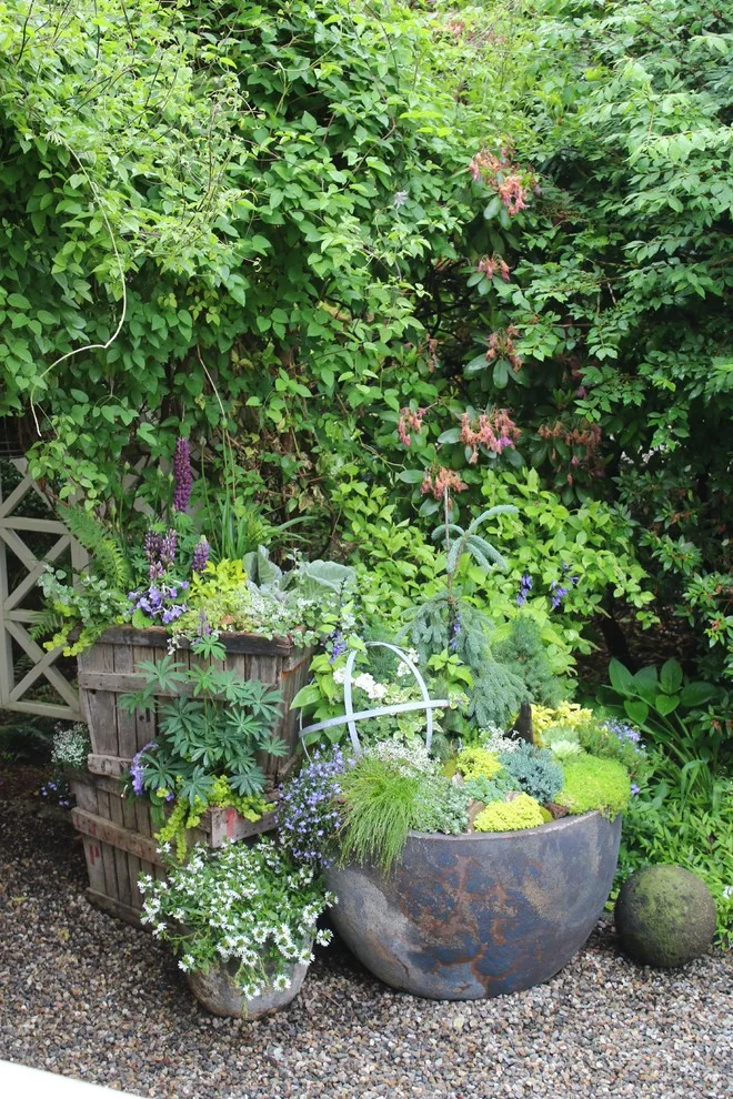 Rosebrook Gardens 2017 Horticultural Event by MAR JENNINGS/S&J Multimedia LLC - Photo 68