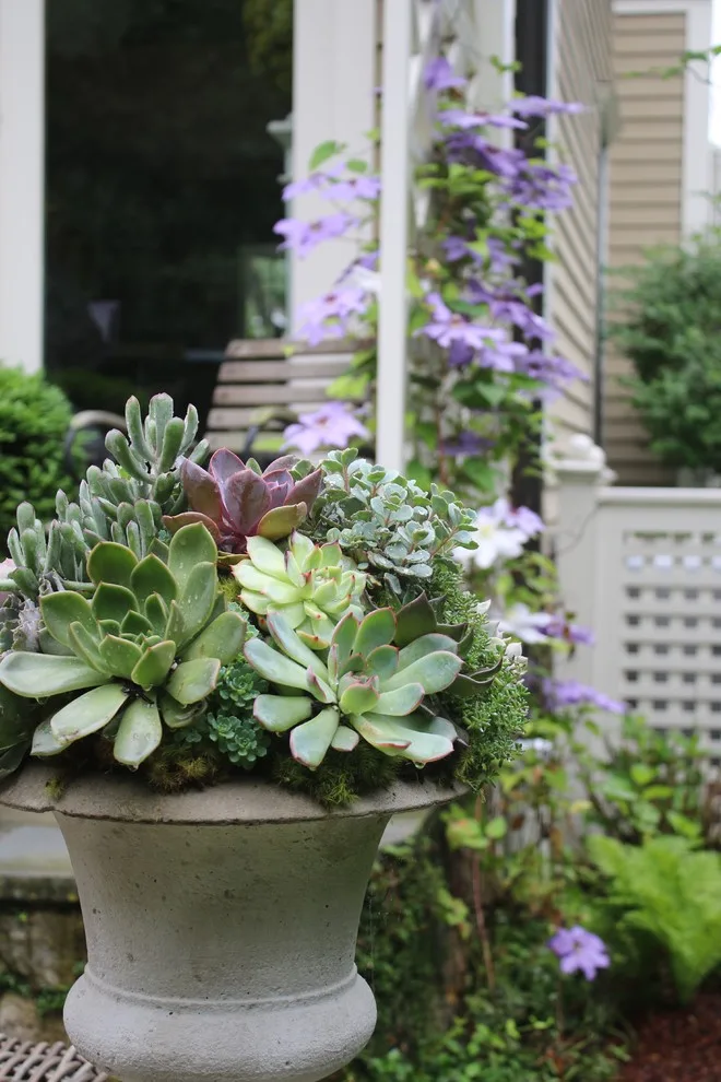 Rosebrook Gardens 2017 Horticultural Event by MAR JENNINGS/S&J Multimedia LLC - Photo 41