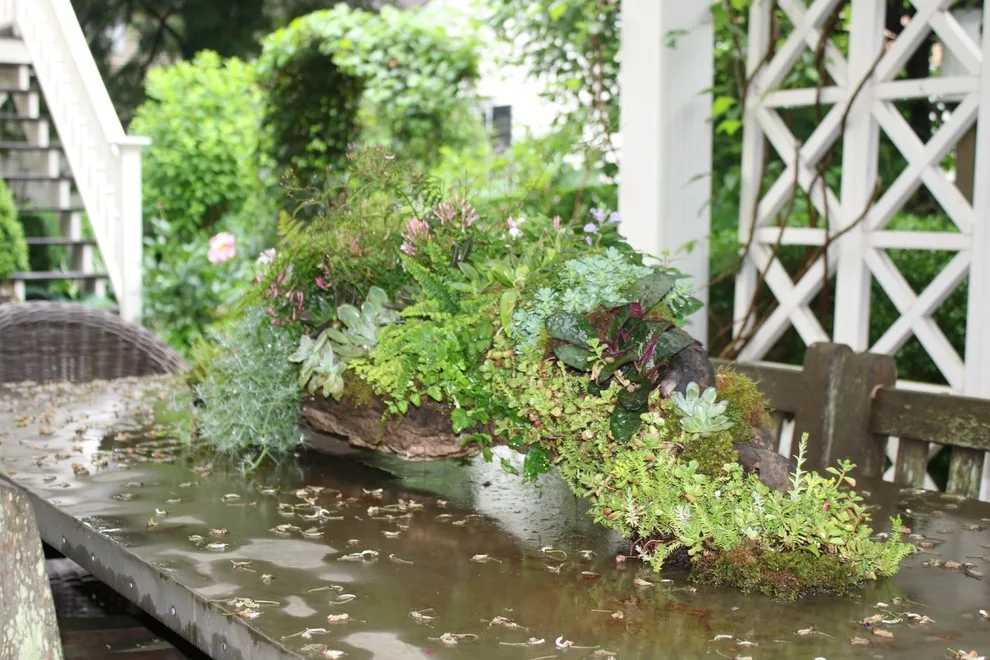Rosebrook Gardens 2017 Horticultural Event by MAR JENNINGS/S&J Multimedia LLC - Photo 26