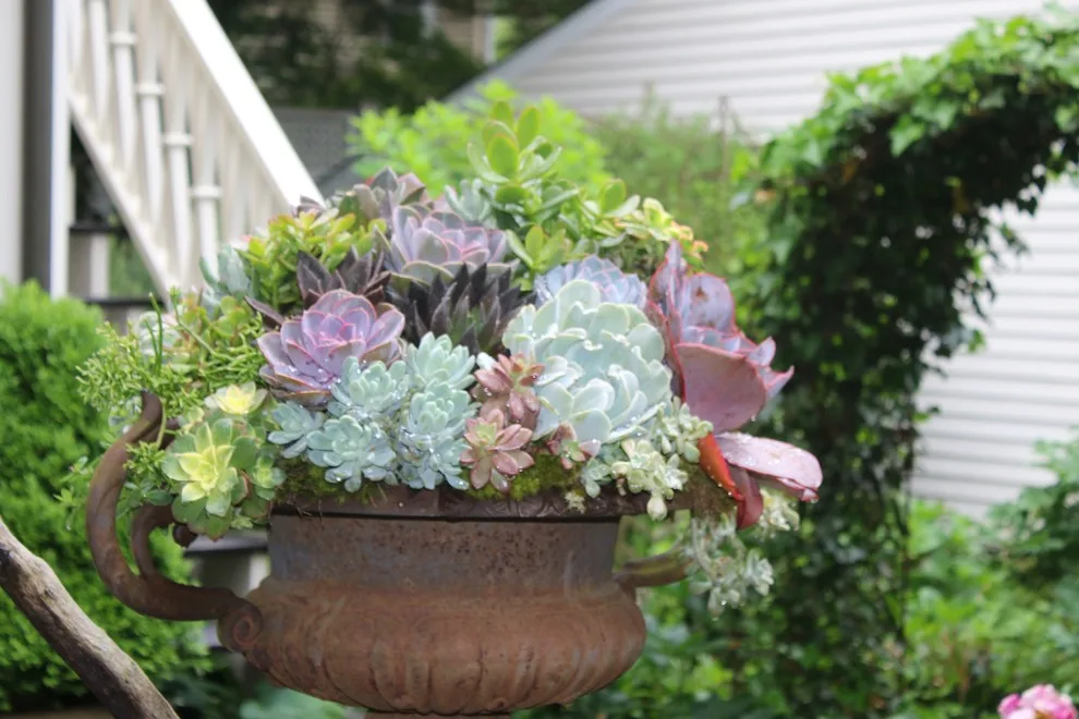 Rosebrook Gardens 2017 Horticultural Event by MAR JENNINGS/S&J Multimedia LLC - Photo 10