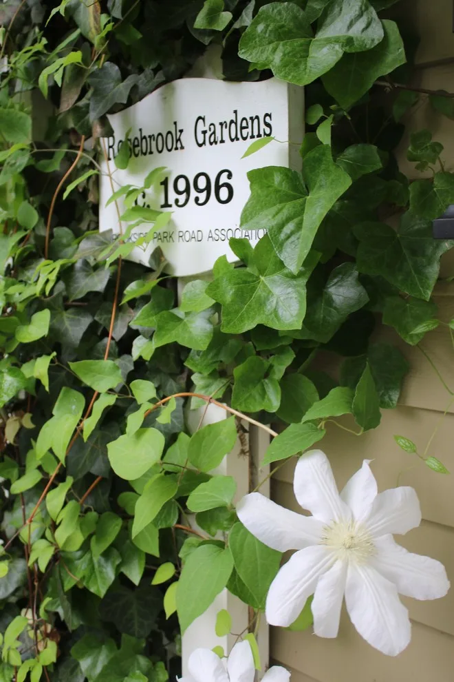 Rosebrook Gardens 2017 Horticultural Event by MAR JENNINGS/S&J Multimedia LLC - Photo 2