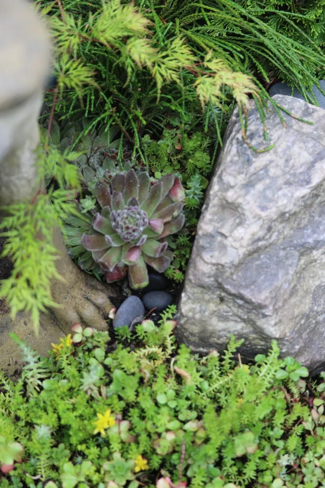 Rosebrook Gardens 2017 Horticultural Event by MAR JENNINGS/S&J Multimedia LLC - Photo 51