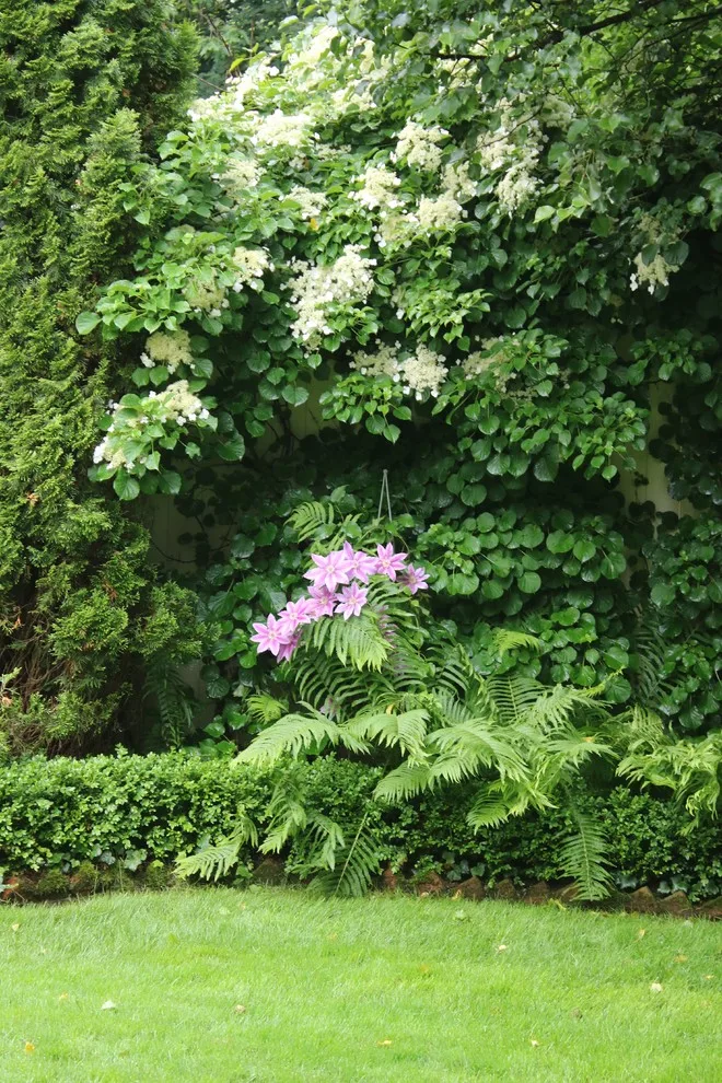 Rosebrook Gardens 2017 Horticultural Event by MAR JENNINGS/S&J Multimedia LLC - Photo 58