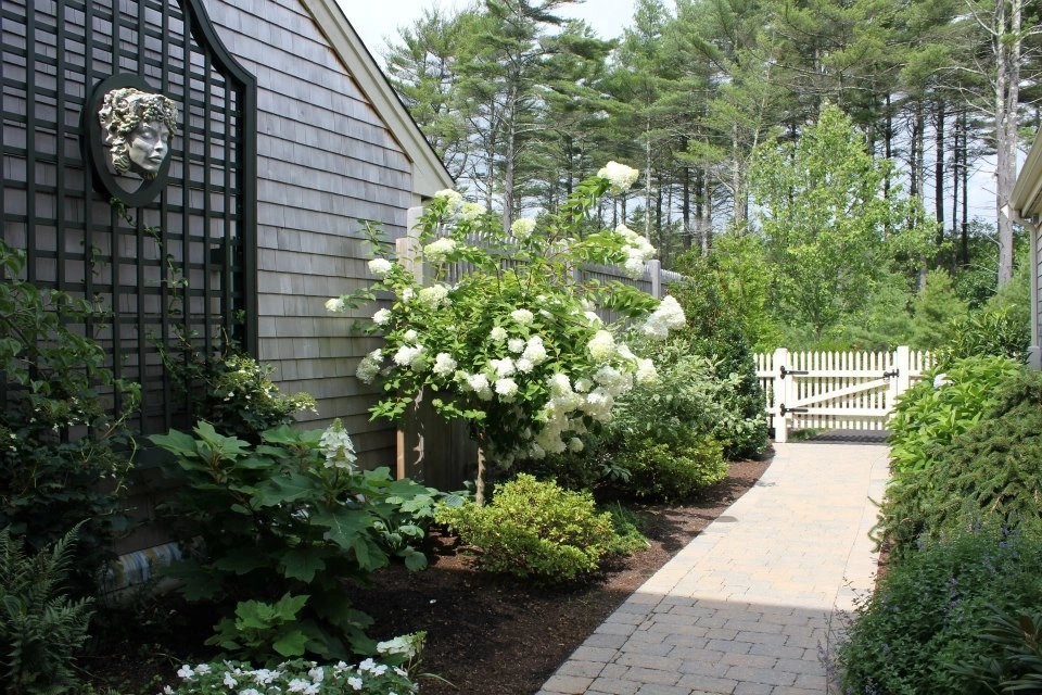 Vetelino Landscape, Inc. - Photo 7