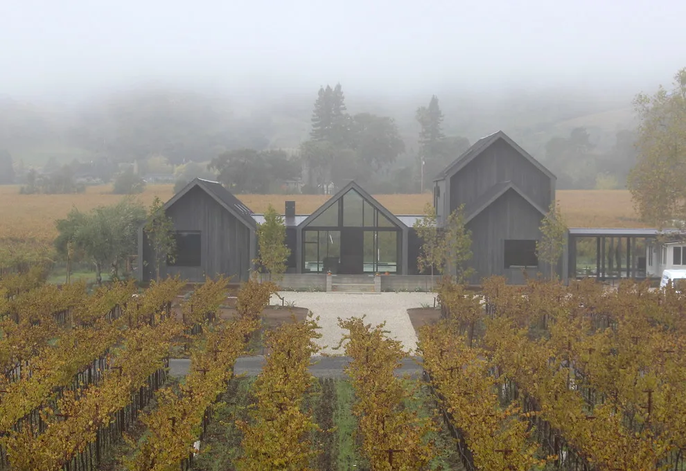 Napa Mid-20th Century Modern by Holder Parlette Architecture + Landscapes - Photo 8