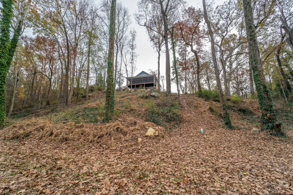 Saluda River Cabin by Phase One Design - Photo 7