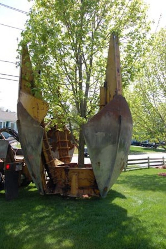 Village Green Landscape Contractors, Inc - Photo 10