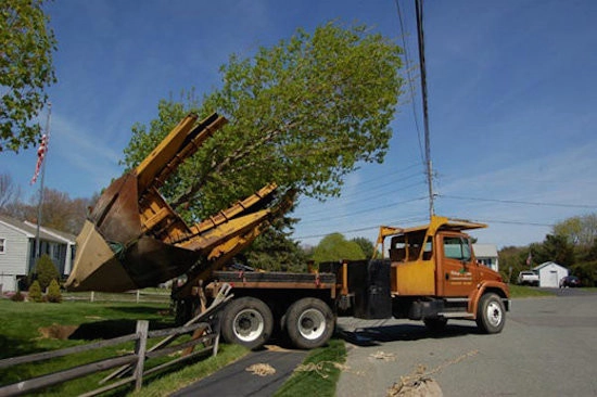 Village Green Landscape Contractors, Inc - Photo 12