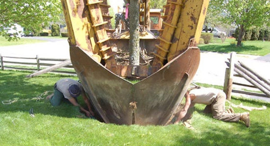 Mature Tree Moving by Village Green Landscape Contractors, Inc - Photo 8