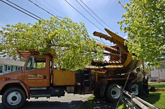 Village Green Landscape Contractors, Inc - Photo 6