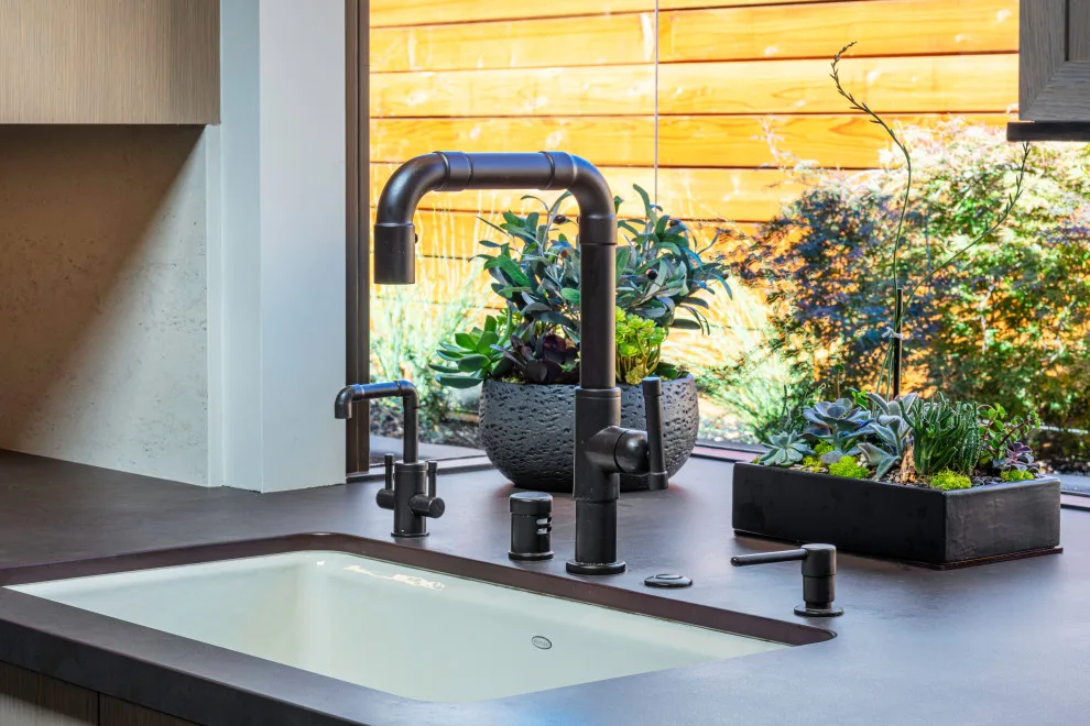 Eichler of San Rafael by David Ludwig - Architect - Photo 12