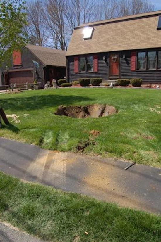Mature Tree Moving by Village Green Landscape Contractors, Inc - Photo 12