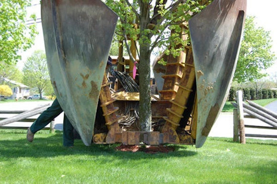 Mature Tree Moving by Village Green Landscape Contractors, Inc - Photo 10