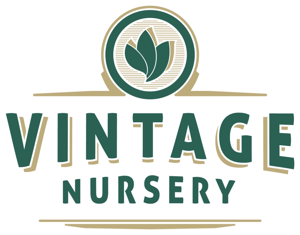 Vintage Associates, Inc. by Vintage Nursery - Vintage Outdoors - Photo 3