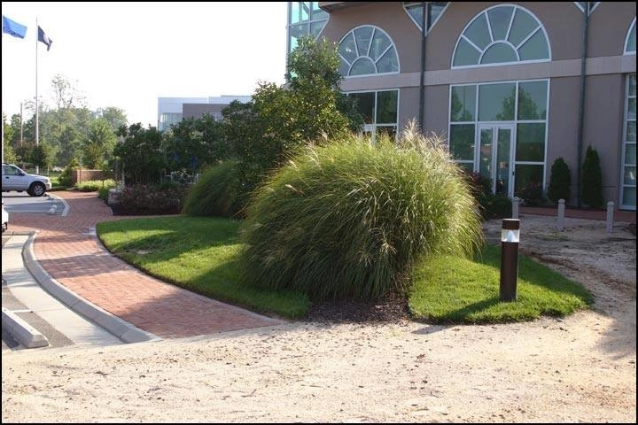 Virginia Landscapes & Morris Lawn Maintenance - Photo 2