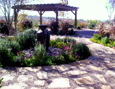 Landscaping by Ocean Blue Pools And Landscaping - Photo 5