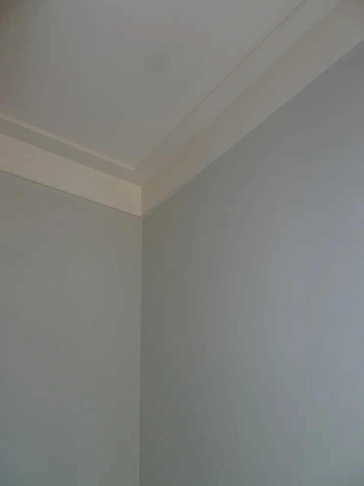 SGC Fresh Start by LLG Residential Design LLC - Photo 12