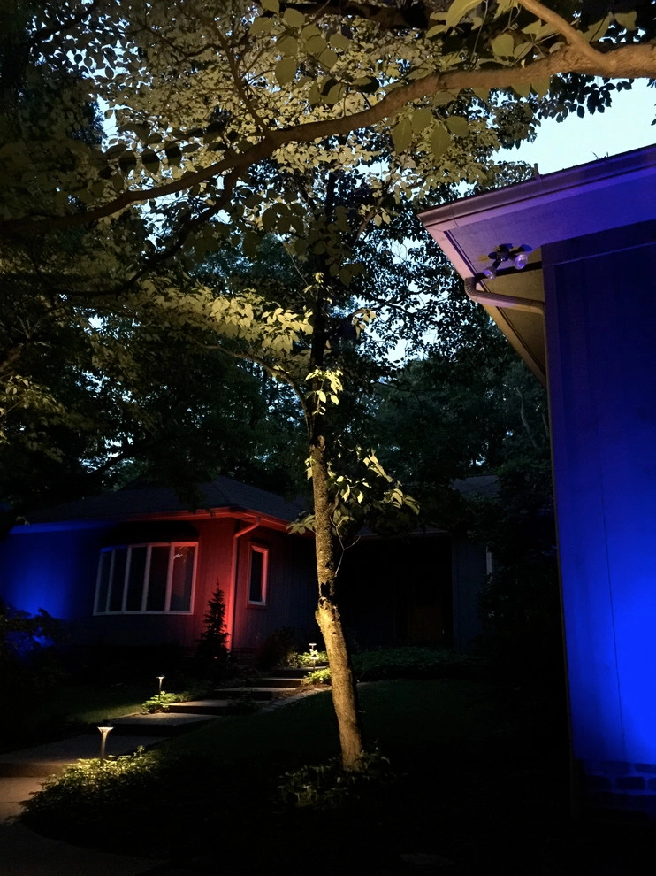 Colored LED lighting by VIVID Landscape & Lighting - Photo 4
