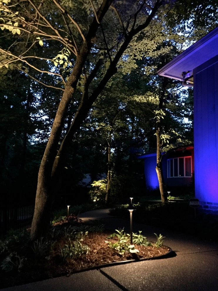 Colored LED lighting by VIVID Landscape & Lighting - Photo 23