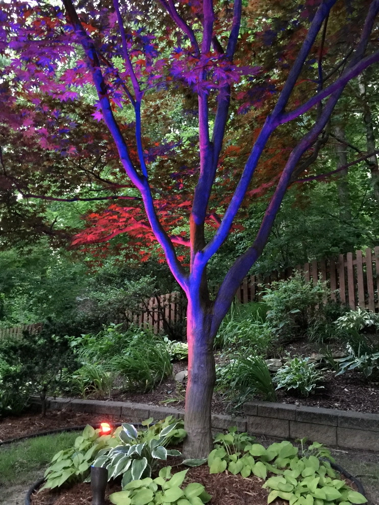 Colored LED lighting by VIVID Landscape & Lighting - Photo 9