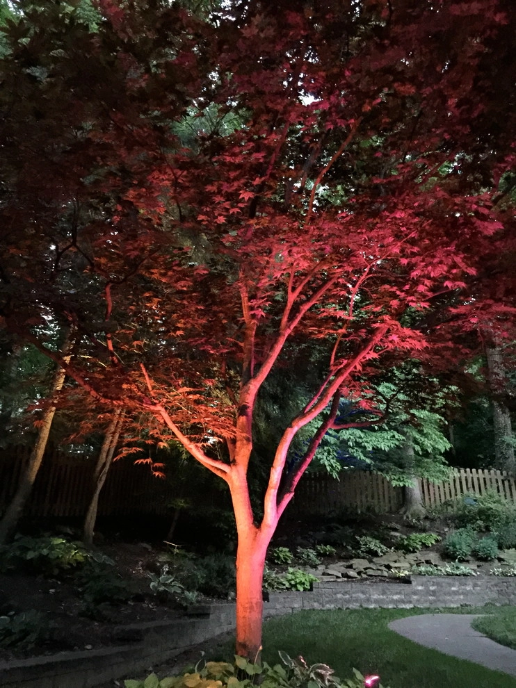 VIVID Landscape & Lighting - Photo 12
