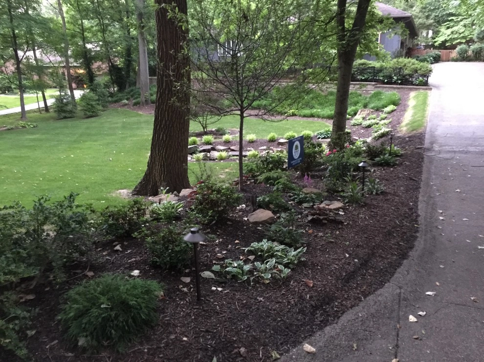 Colored LED lighting by VIVID Landscape & Lighting - Photo 21