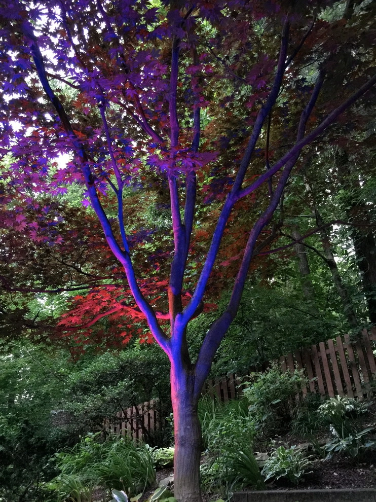 Colored LED lighting by VIVID Landscape & Lighting - Photo 25