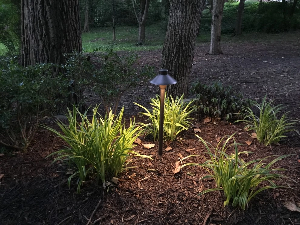 Colored LED lighting by VIVID Landscape & Lighting - Photo 10