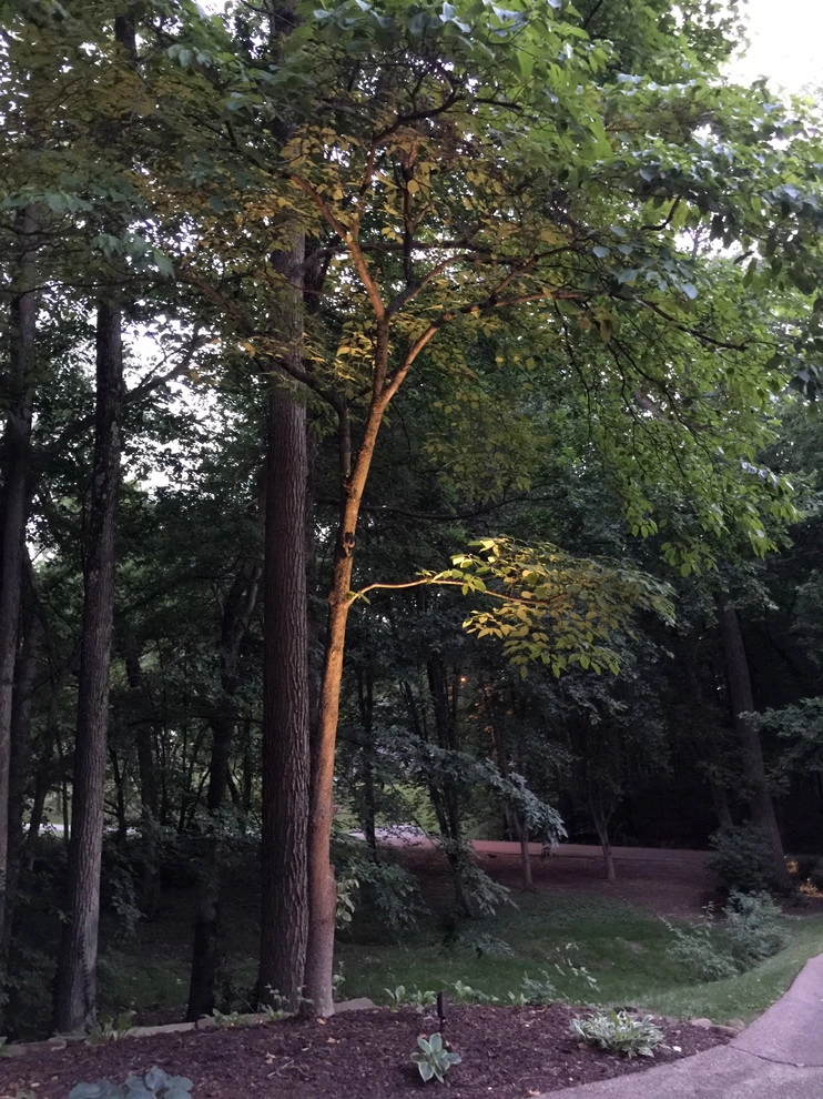 Colored LED lighting by VIVID Landscape & Lighting - Photo 32