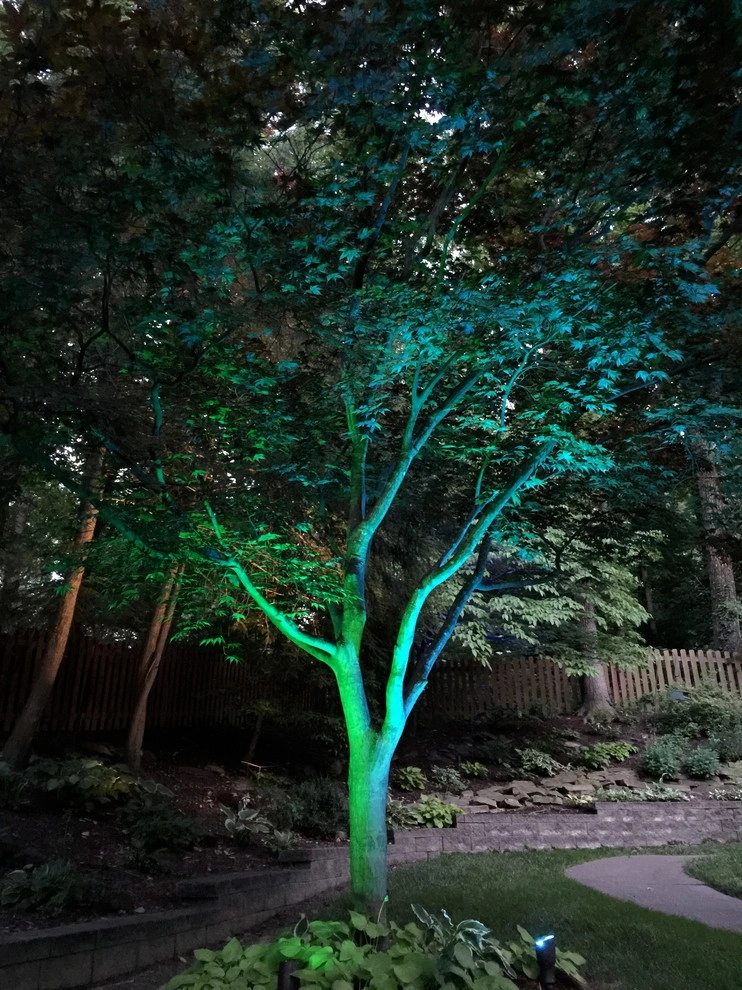 Colored LED lighting by VIVID Landscape & Lighting - Photo 30