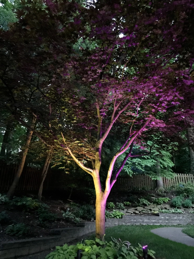 Colored LED lighting by VIVID Landscape & Lighting - Photo 12