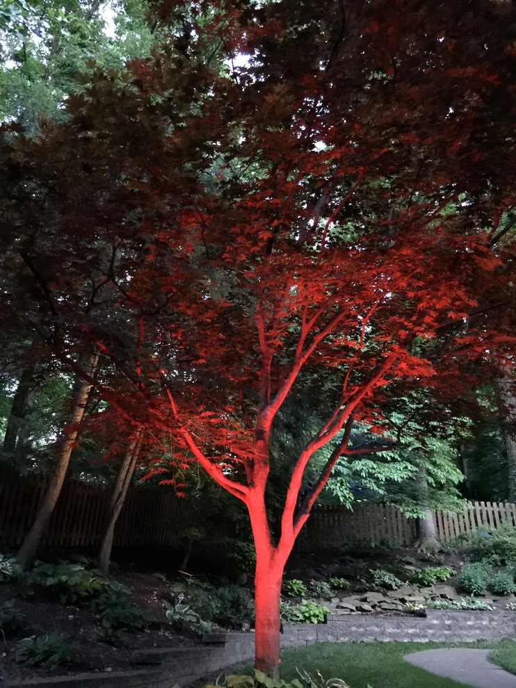 Colored LED lighting by VIVID Landscape & Lighting - Photo 22