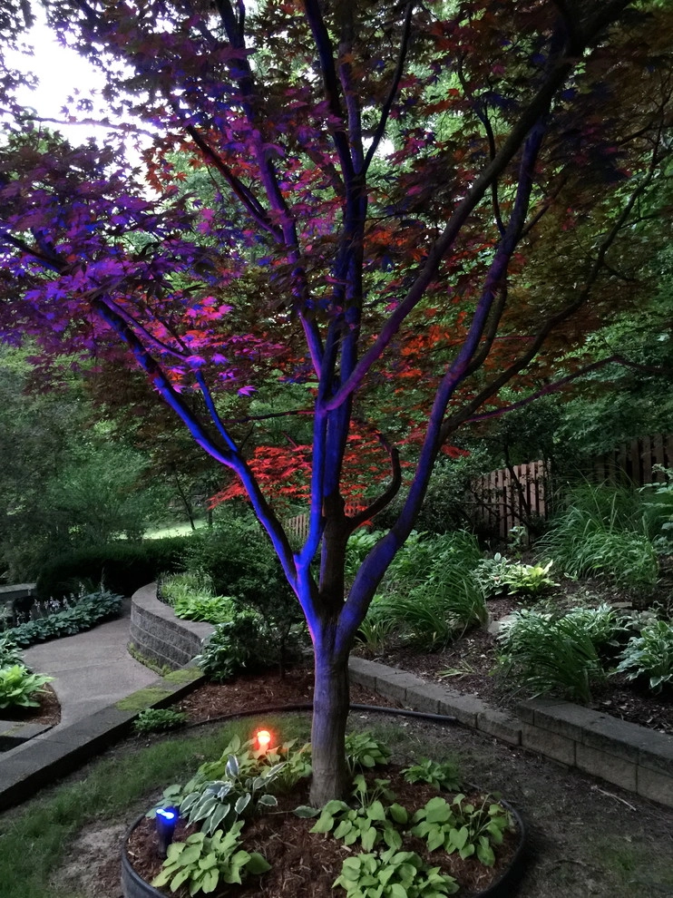 Colored LED lighting by VIVID Landscape & Lighting - Photo 13