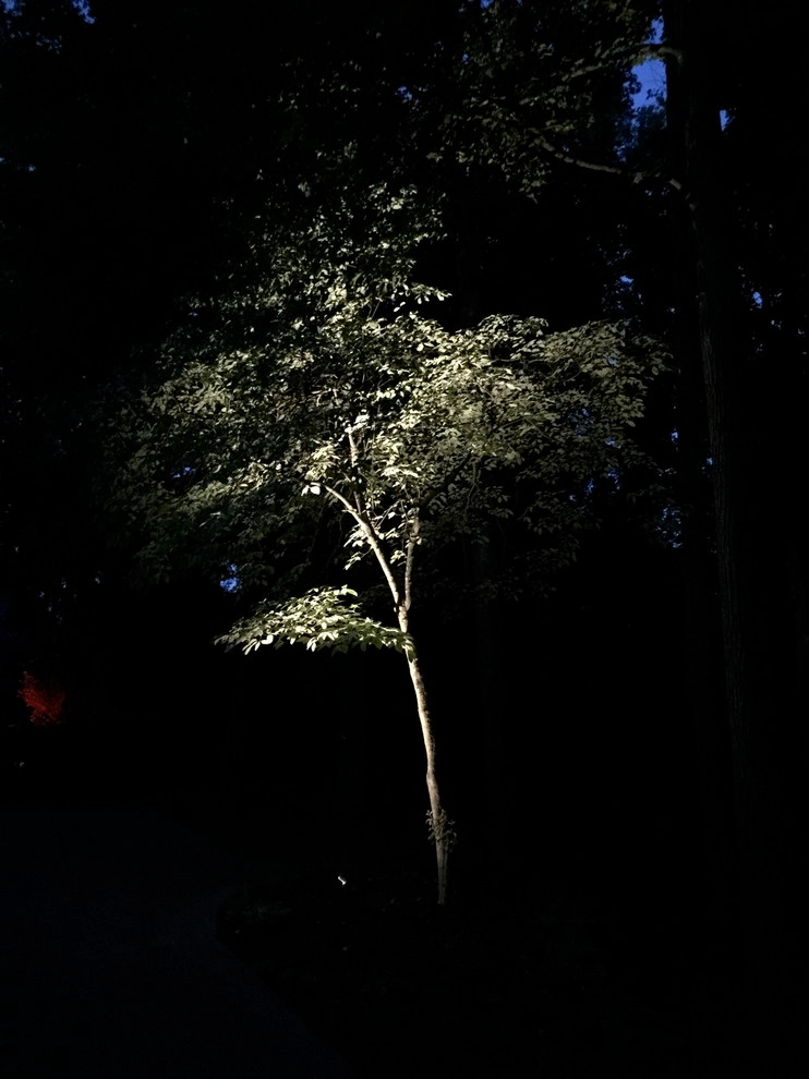 Colored LED lighting by VIVID Landscape & Lighting - Photo 31
