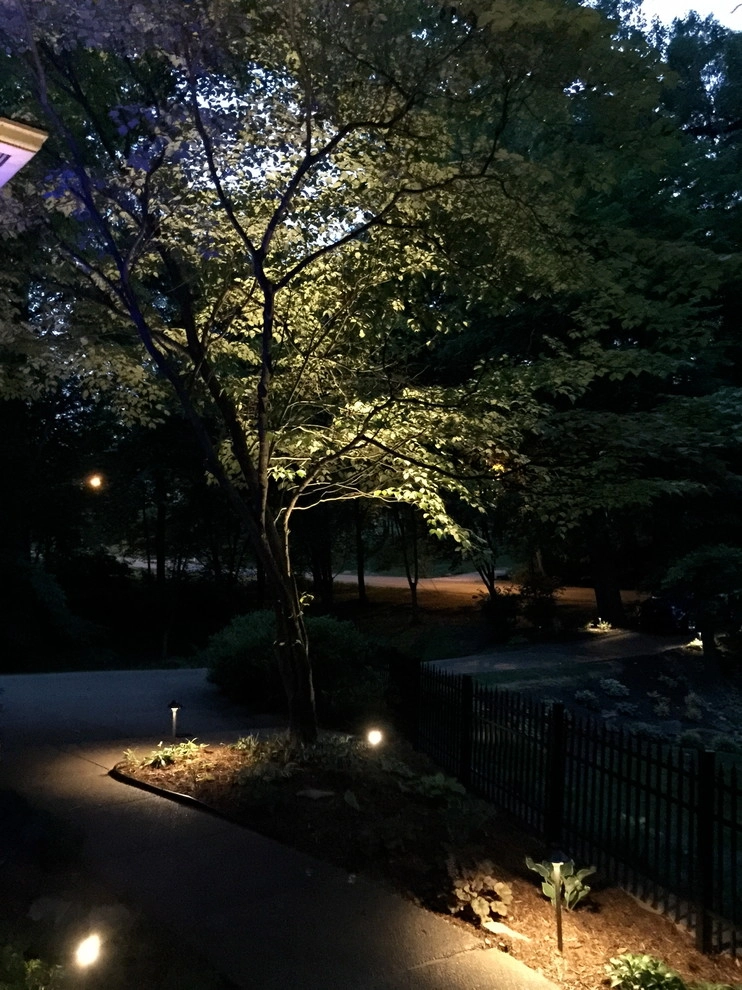 Colored LED lighting by VIVID Landscape & Lighting - Photo 19