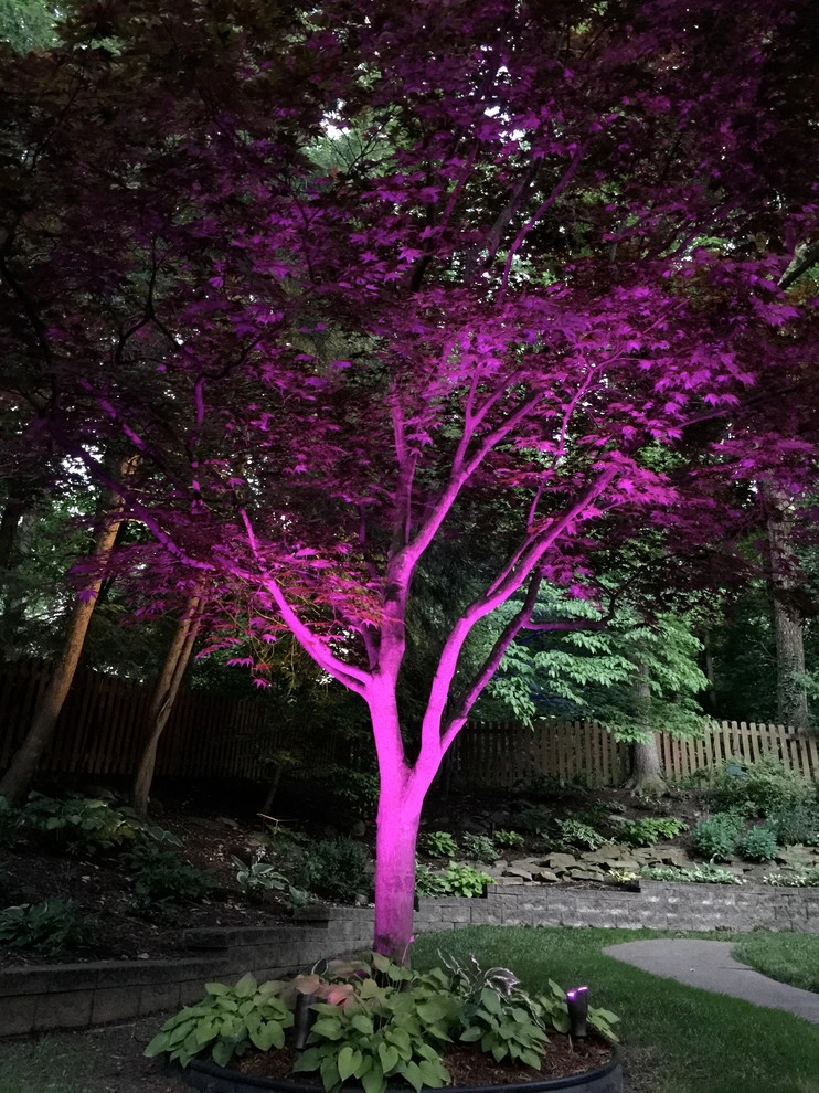 Colored LED lighting by VIVID Landscape & Lighting - Photo 34