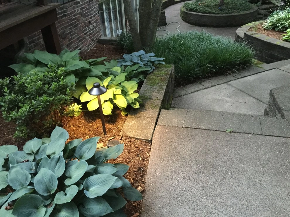 Colored LED lighting by VIVID Landscape & Lighting - Photo 5